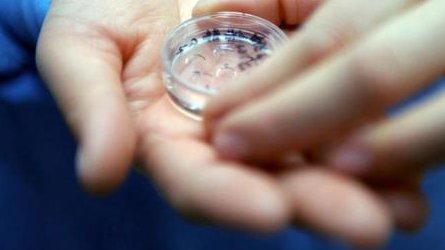 抗精子抗体阳性可以选择试管婴儿助孕吗？