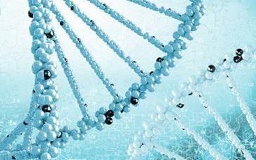 三代试管养囊胚为什么要在15天左右才通过短信通知？