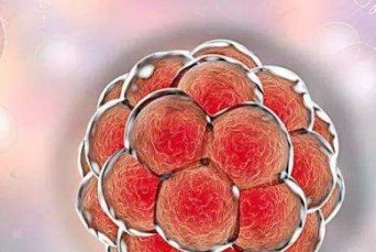 34岁单角子宫多大可以正常生育？